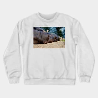 Harry The Happy Hippo Crewneck Sweatshirt